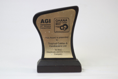 AGI BEST ELECTRICAL _ ELECTRONICS COMPANY 2012