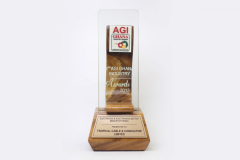 AGI BEST ELECTRICAL _ ELECTRONICS SECTOR WINNER 2013