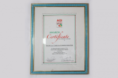 AGI BEST ELECTRICALS _ ELECTRONICS SECTOR COMPANY 2012