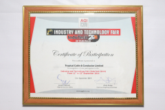 INDUTECH 2014 CERT OF PARTICIPATION