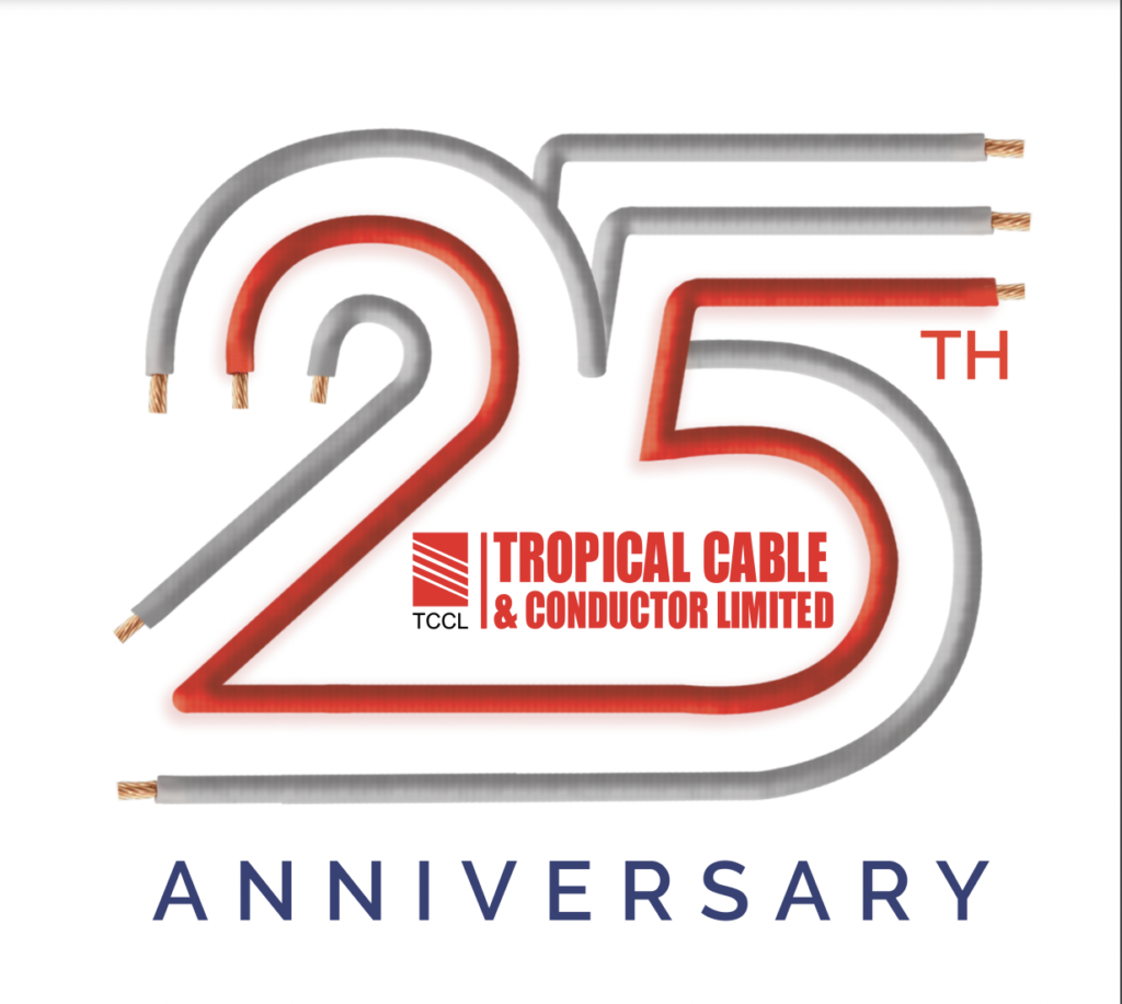 25th anniversary logo