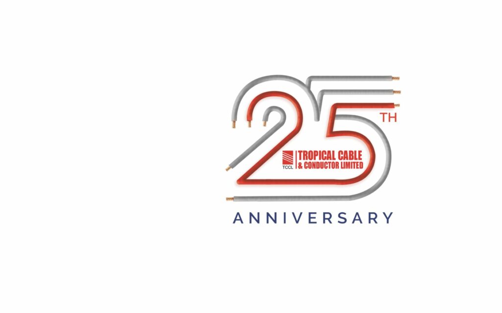 25th Anniversary Logo