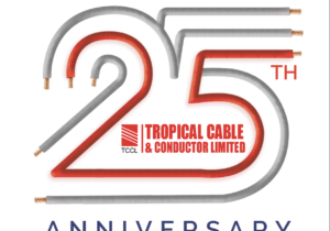 25th anniversary logo